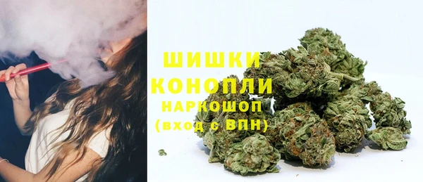 ГАЛЛЮЦИНОГЕННЫЕ ГРИБЫ Абинск